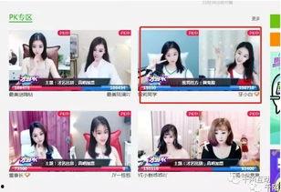 国产主播三级,揭秘我国网络直播行业的崛起与挑战